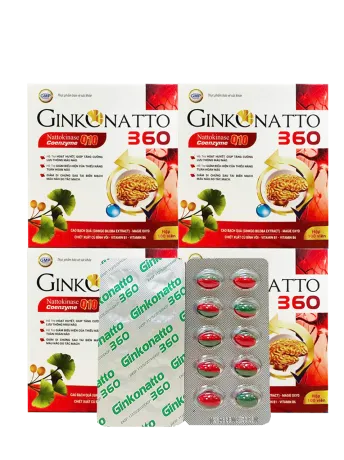 Ginkgo Natto 360 Coenzym Q10